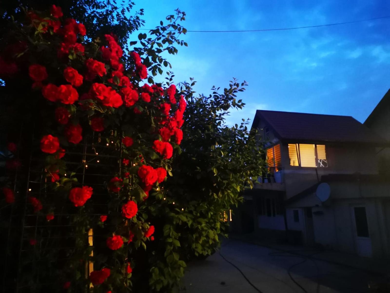 Cristalex Villaverde Bucharest Pantelimon ภายนอก รูปภาพ