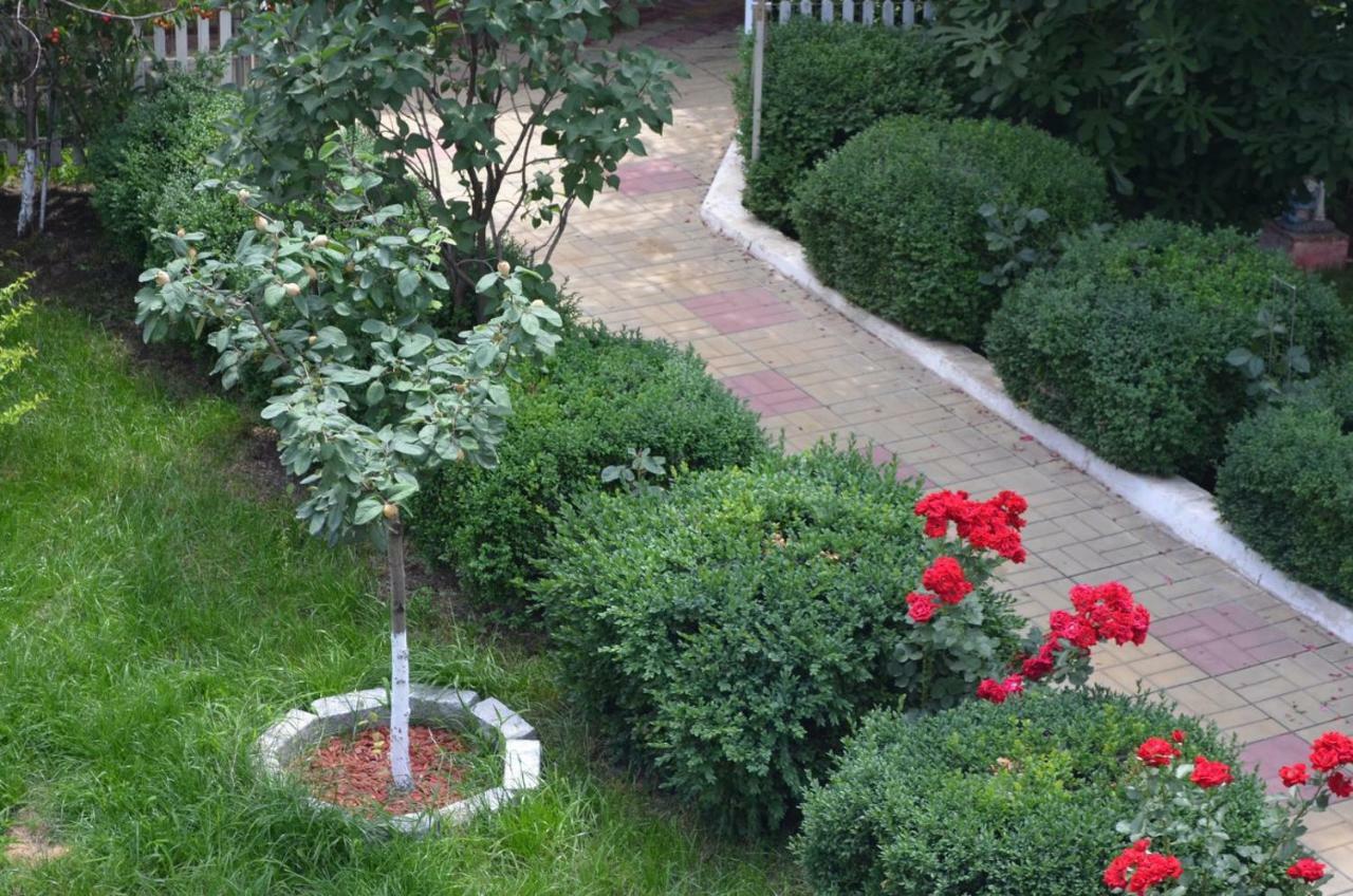 Cristalex Villaverde Bucharest Pantelimon ภายนอก รูปภาพ